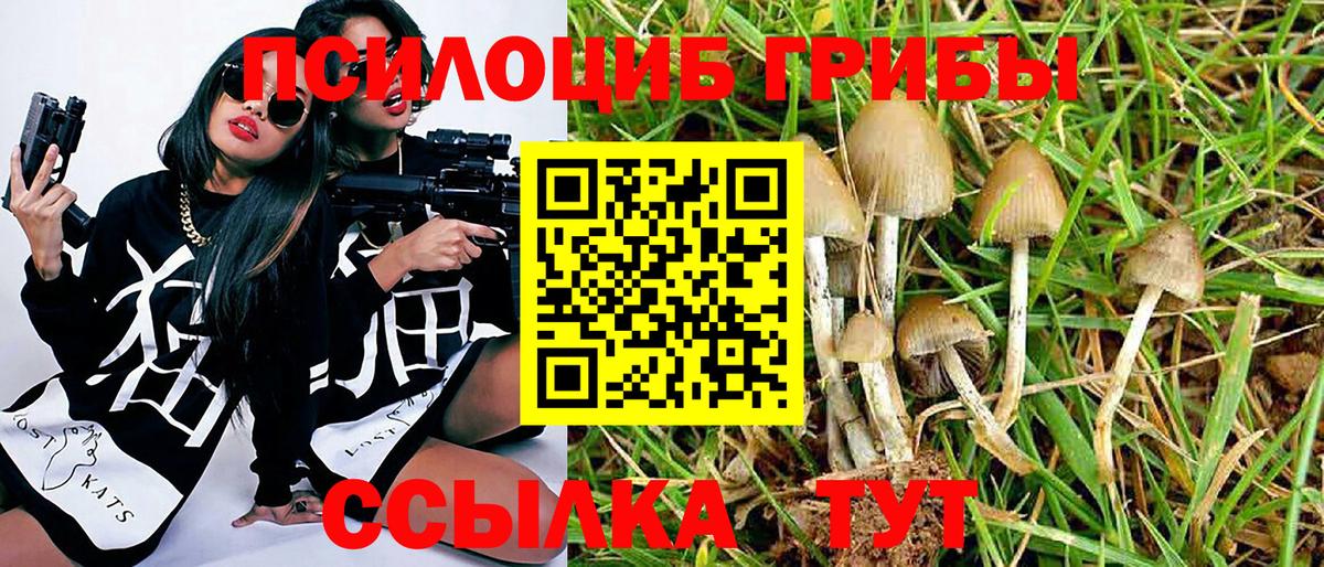 Галлюциногенные грибы ЛСД  Вход с VPN  Псилоцибиновые грибы Psilocybe  Зеленодольск 